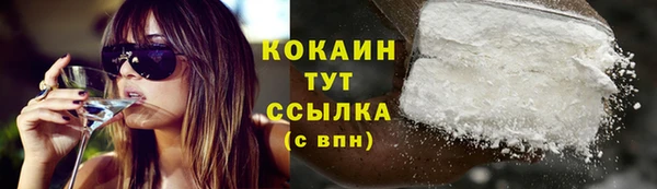 тгк Аркадак