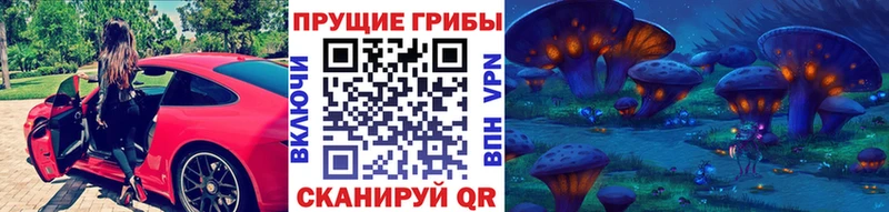 купить ссылка на мегу онион Галлюциногенные грибы GOLDEN TEACHER Салехард